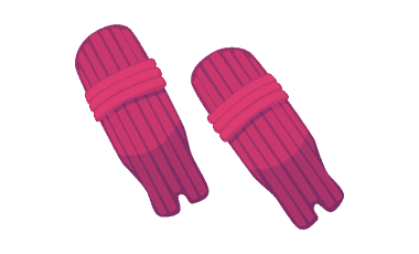 Assembled Cricket Kit