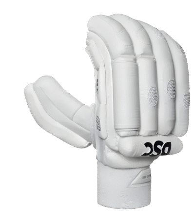 RS 35 (God's Plan) Batting Gloves